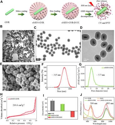 Glutathione-Sensitive Mesoporous Organosilica-Coated Gold Nanorods as Drug Delivery System for Photothermal Therapy-Enhanced Precise Chemotherapy